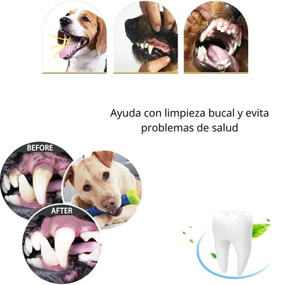 Hueso Limpia Dientes Para Mascota